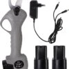 Talen Tools - Elektrische Snoeischaar - Takkenschaar - Heggenschaar - Professioneel - 2 Accu's & Opbergkoffer
