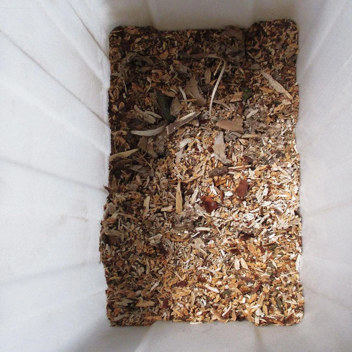 Gardebruk Hakselaar Elektrisch 2800W - 45mm Takdikte - Opvangbak 60 L - Afbeelding 9