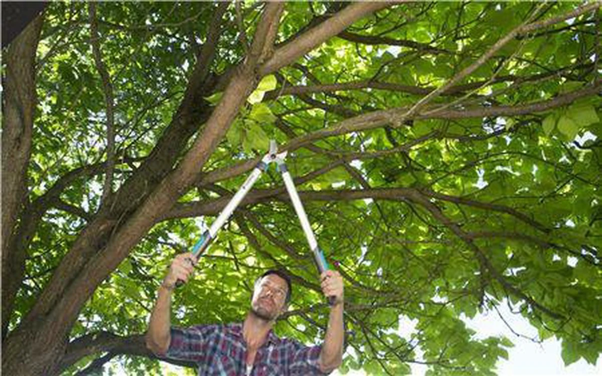 Gardena EasyCut Takkenschaar 68B + Classic Snoeischaar 8754 Display 1stuk 12003-30 - Afbeelding 8