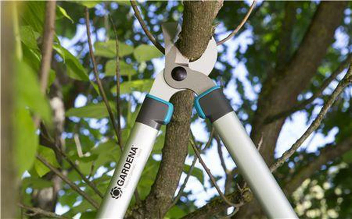 Gardena EasyCut Takkenschaar 68B + Classic Snoeischaar 8754 Display 1stuk 12003-30 - Afbeelding 5